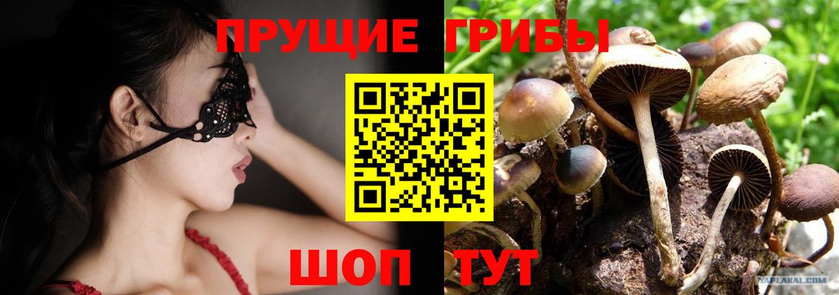 Галлюциногенные грибы Cubensis  Псилоцибиновые грибы Psilocybe  Жуковский  Вход с VPN 